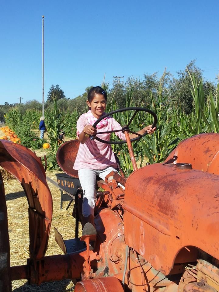 Picking Pumpkins 2015